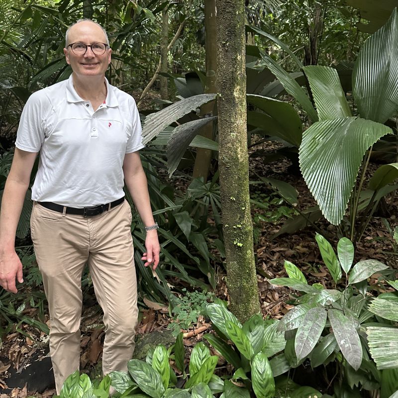 Inspection of a rubber plantation